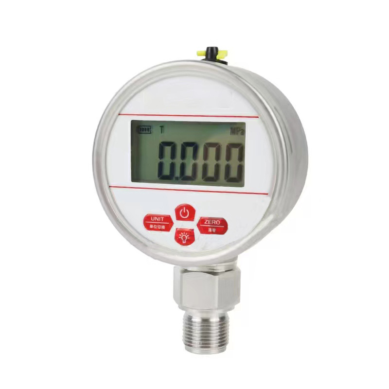Series precision digital pressure gauge